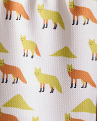 Sagebrush Fox