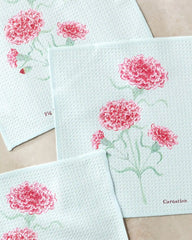 January Carnation