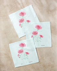 January Carnation