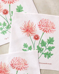 November Chrysanthemum