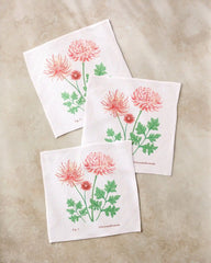 November Chrysanthemum