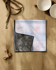 Blue Sky Picnic Dreams
