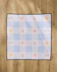 Blue Sky Picnic Dreams