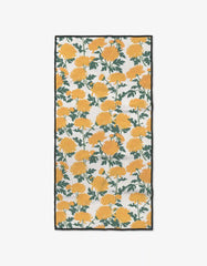 Chrysanthemum