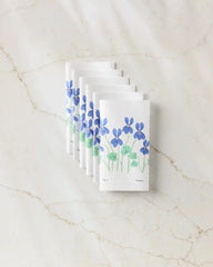 February Violets