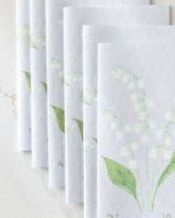 May Lilly Of The Valley