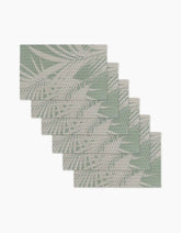 Palm Breeze