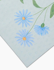 September Aster