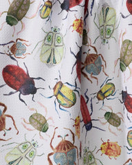 African Beetles
