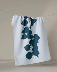 Birch