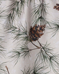 Evergreen Frost