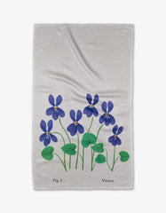February Violets