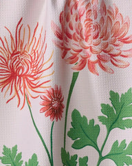 November Chrysanthemum