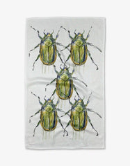 Olive Beetles