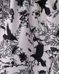 Rookery