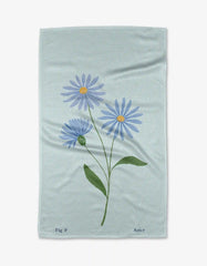 September Aster