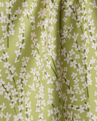 Spring Green Forsythia