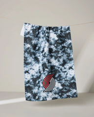 Trail Blazers Flash