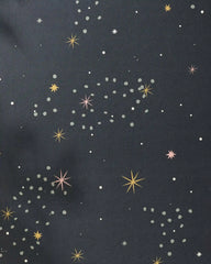 Galaxy Burst