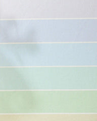Rainbow Pastel