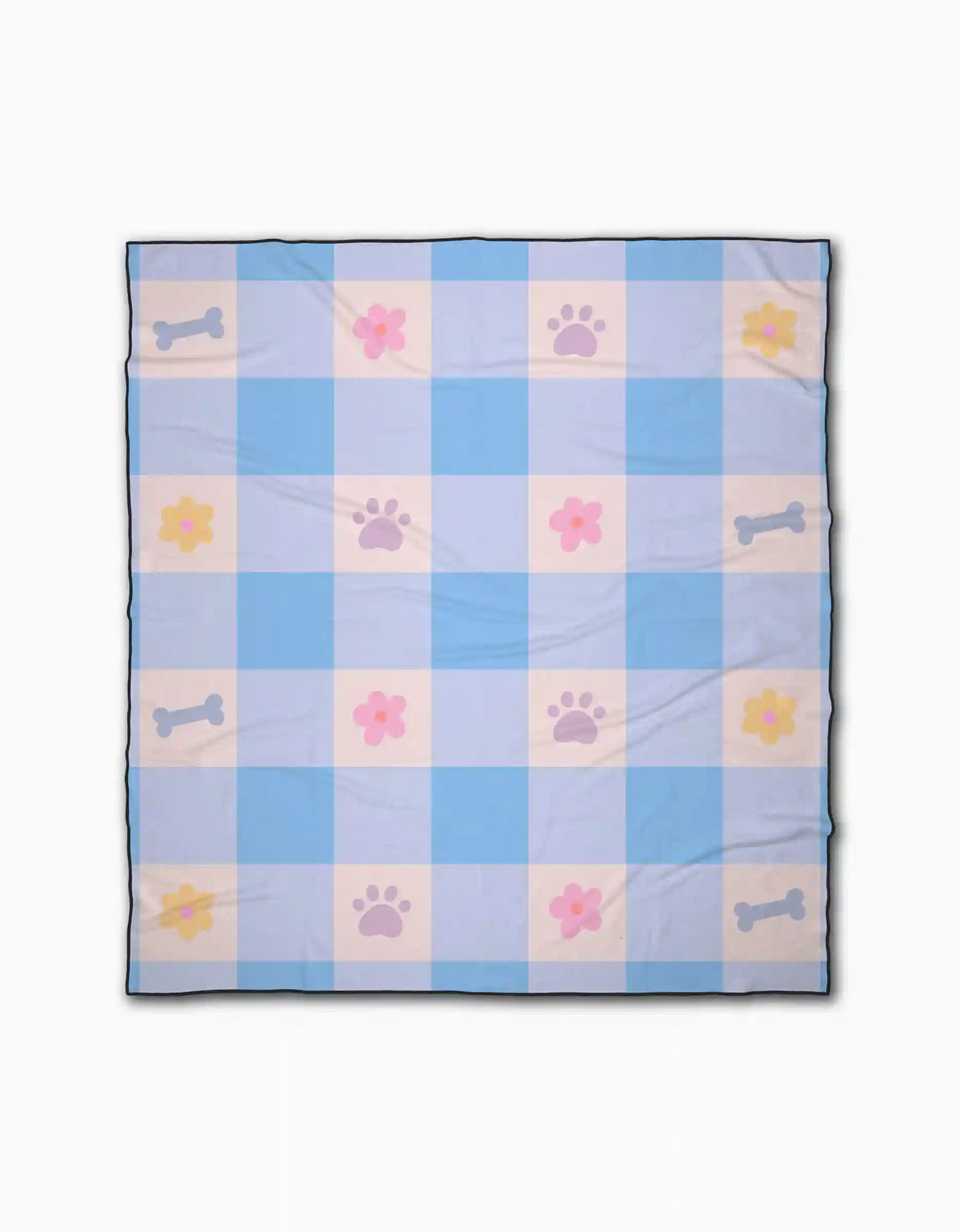 Blue Sky Picnic Dreams