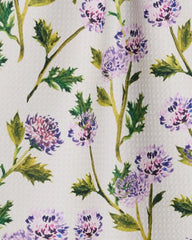 Blooming Thistle