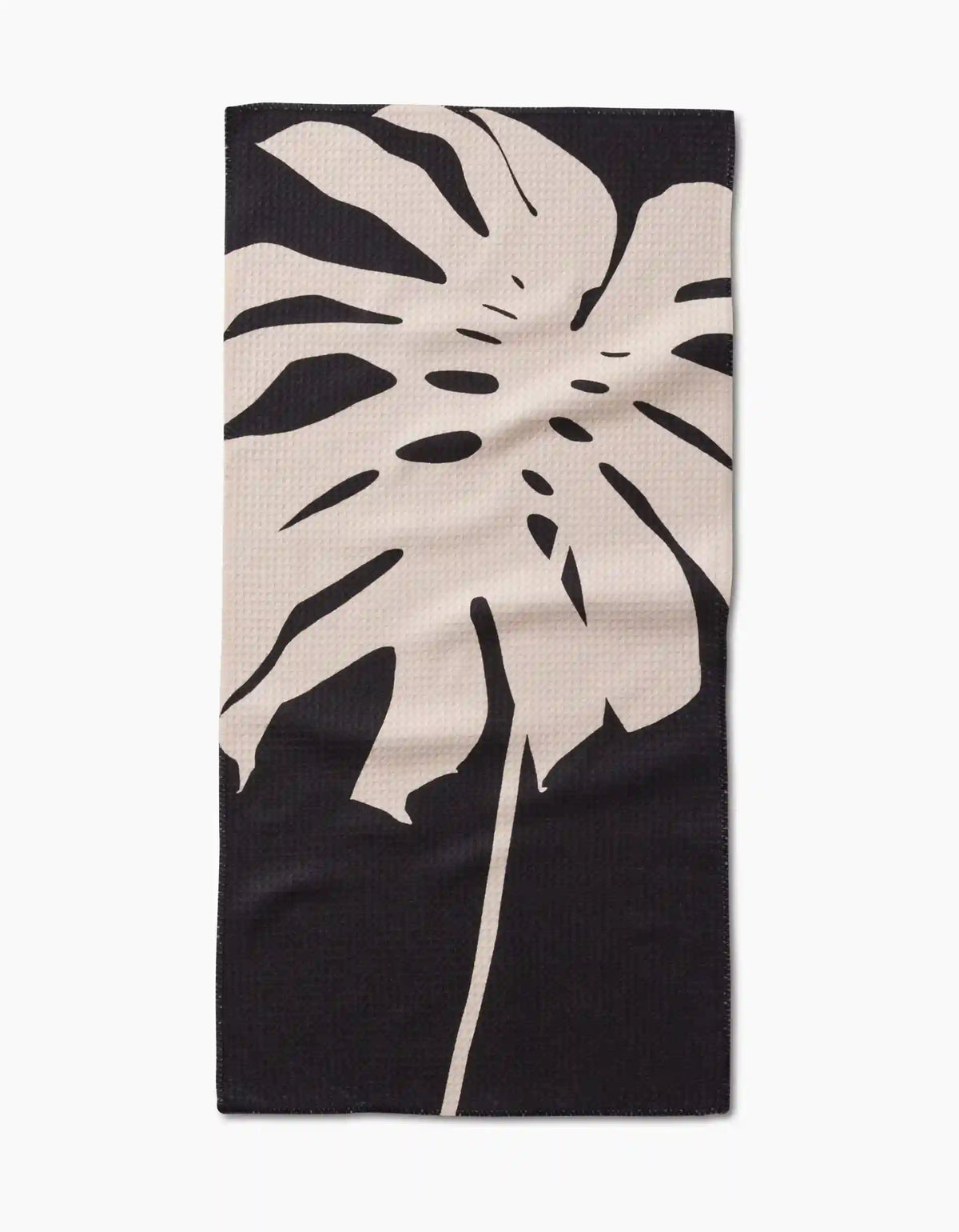 Cream Monstera