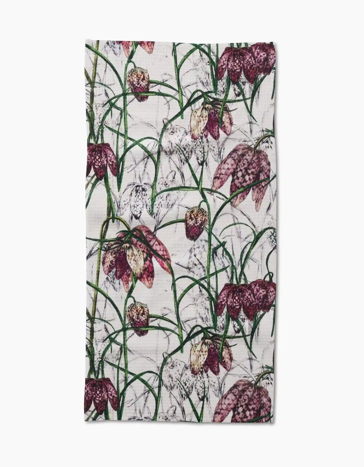 Fritillaria