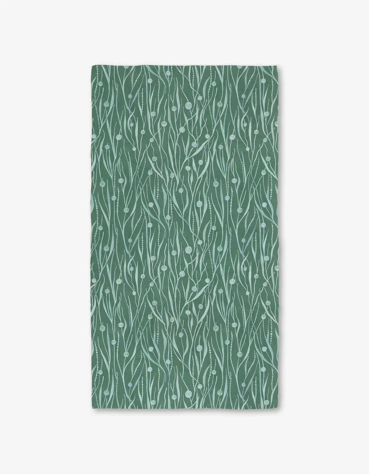 Kelp
