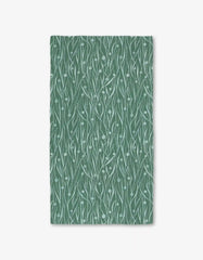 Kelp