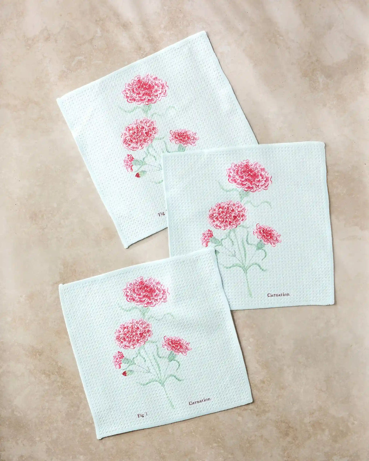 January Carnation