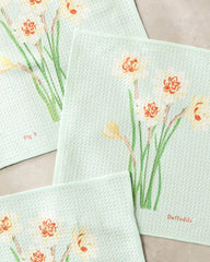 March Daffodils