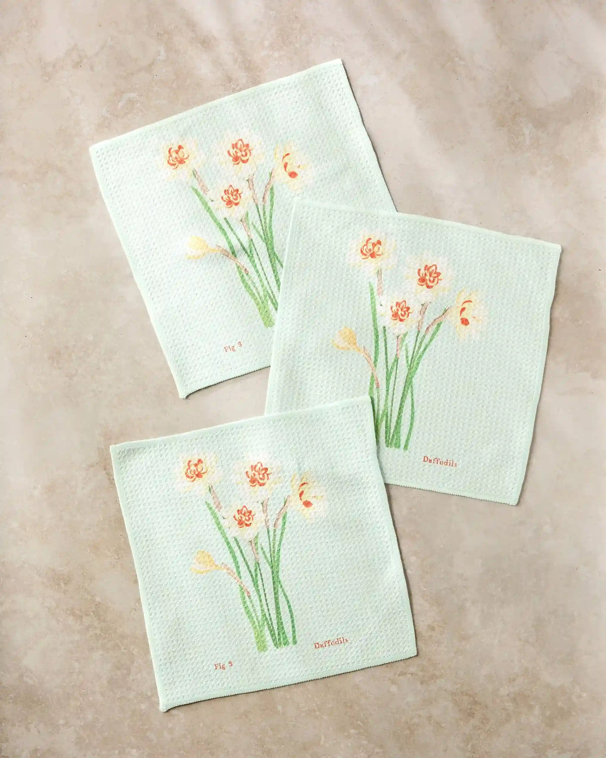March Daffodils