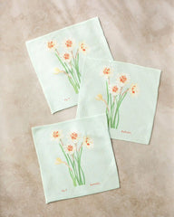 March Daffodils