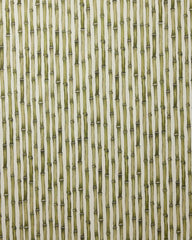 Bamboo