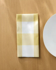 Bright Gingham