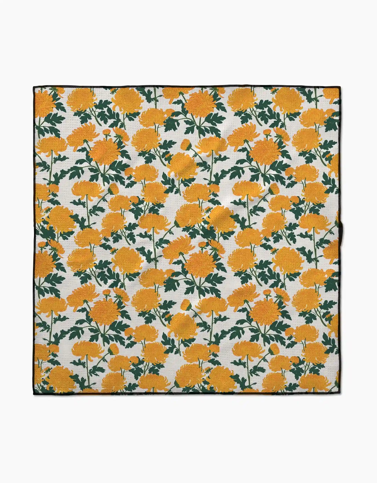 Chrysanthemum