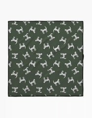 Dalmation Dogs