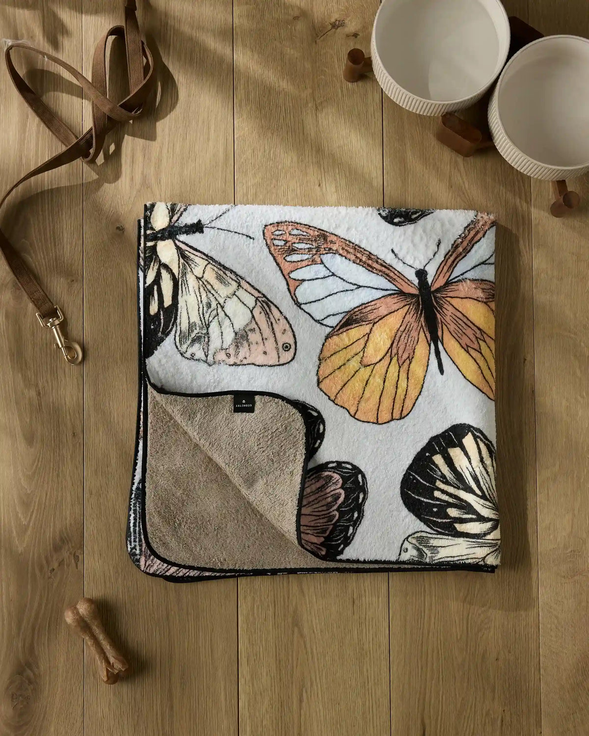 Cute Butterflies