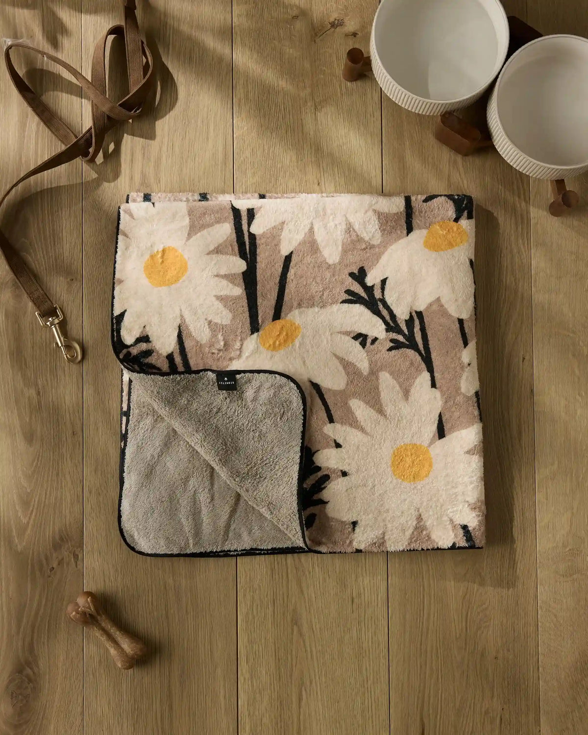 Sweet Daisies