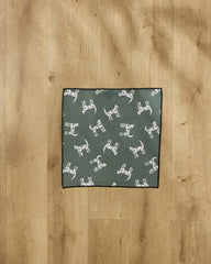 Dalmation Dogs