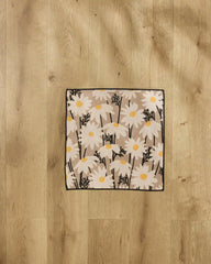 Sweet Daisies