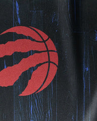 Raptors Zone