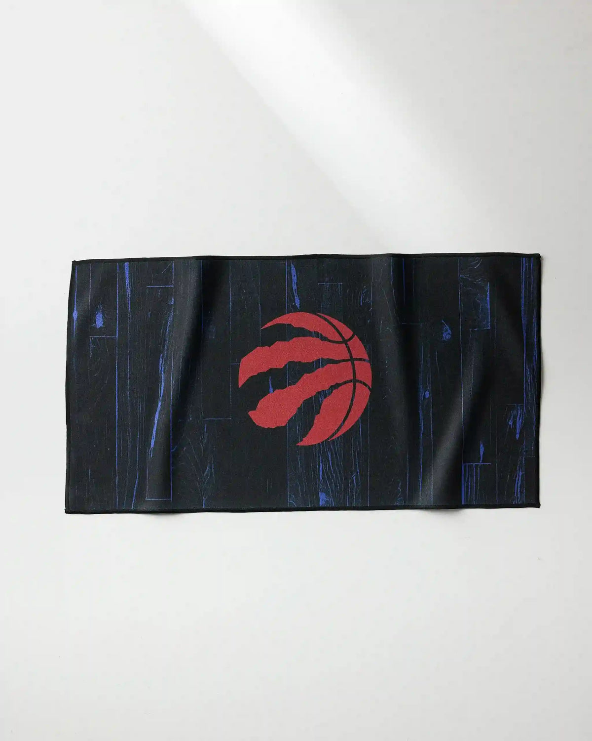 Raptors Zone