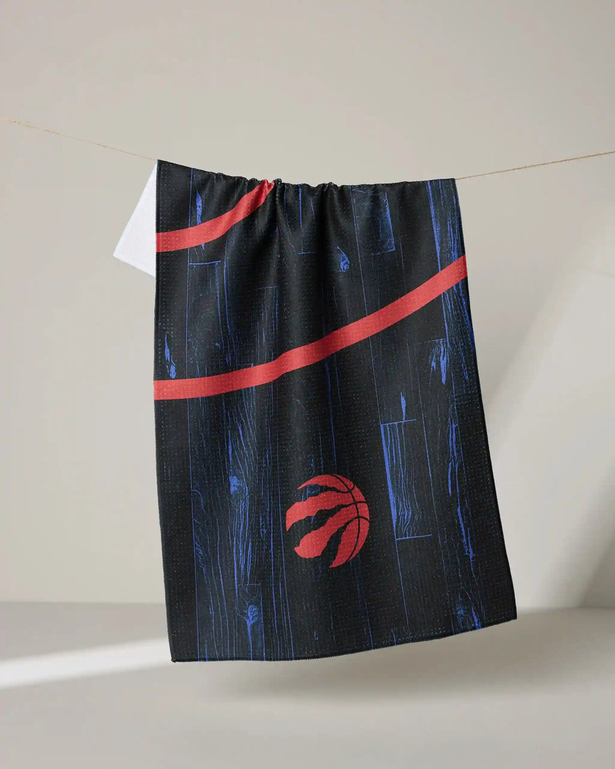 Raptors Zone
