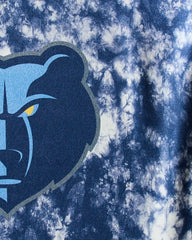 Grizzlies Flash