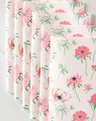 Anemone Garden Flowers