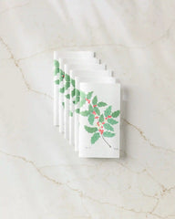 December Holly