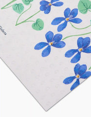 February Violets