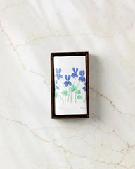 February Violets